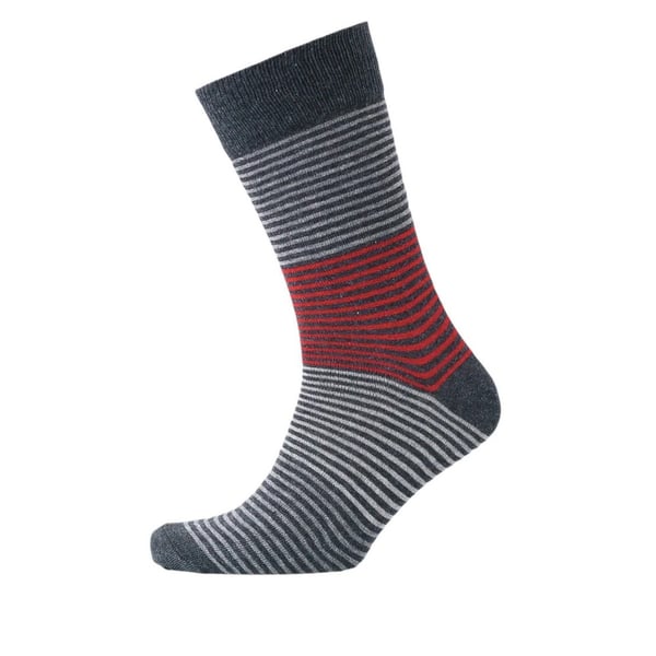 Money Mens Signature Socks (Pack of 3)