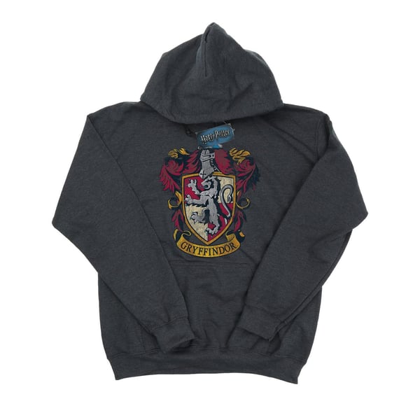 Harry Potter Mens Gryffindor Hoodie