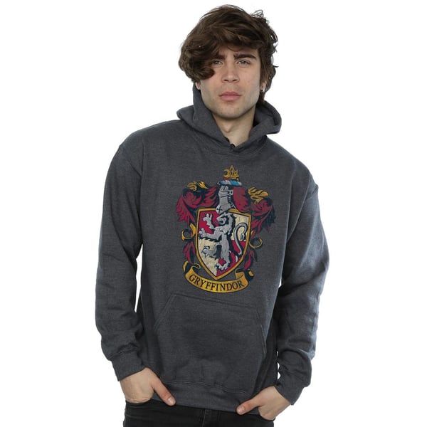 Harry Potter Mens Gryffindor Hoodie