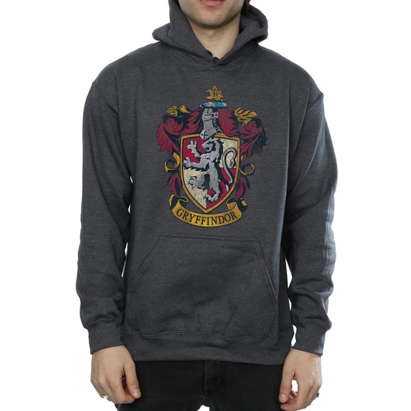 Harry Potter Mens Gryffindor Hoodie
