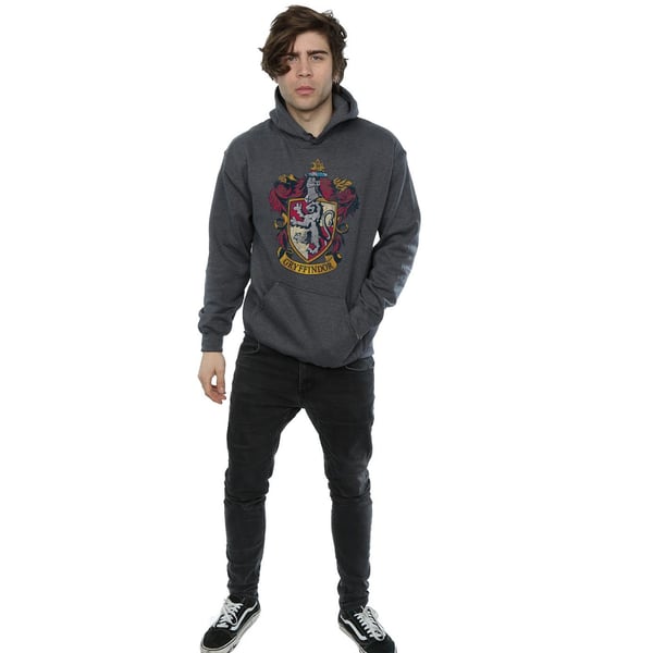 Harry Potter Mens Gryffindor Hoodie