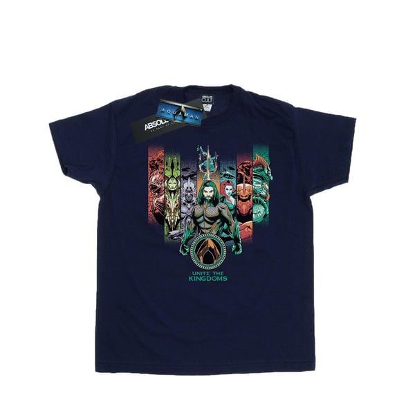DC Comics Womens/Ladies Aquaman Unite The Kingdoms Cotton Boyfriend T-Shirt