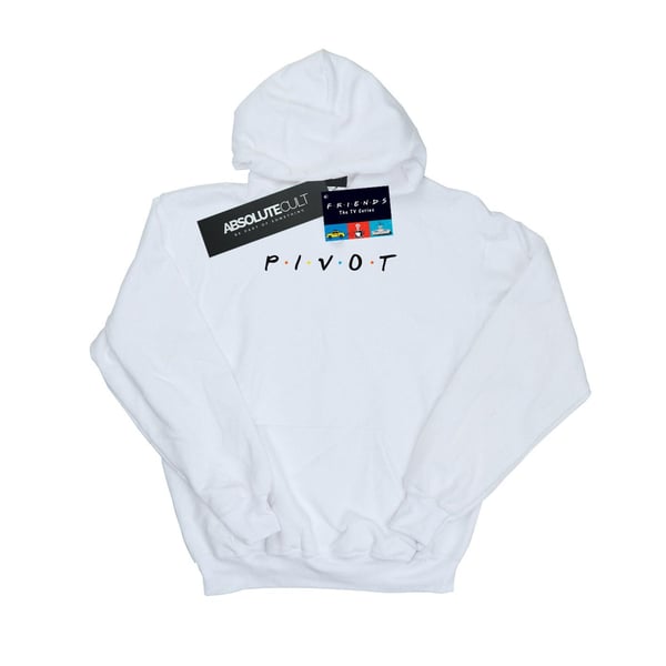 Friends Miesten Pivot Logo Huppari
