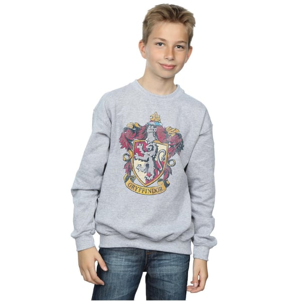Harry Potter Boys Gryffindor Sweatshirt
