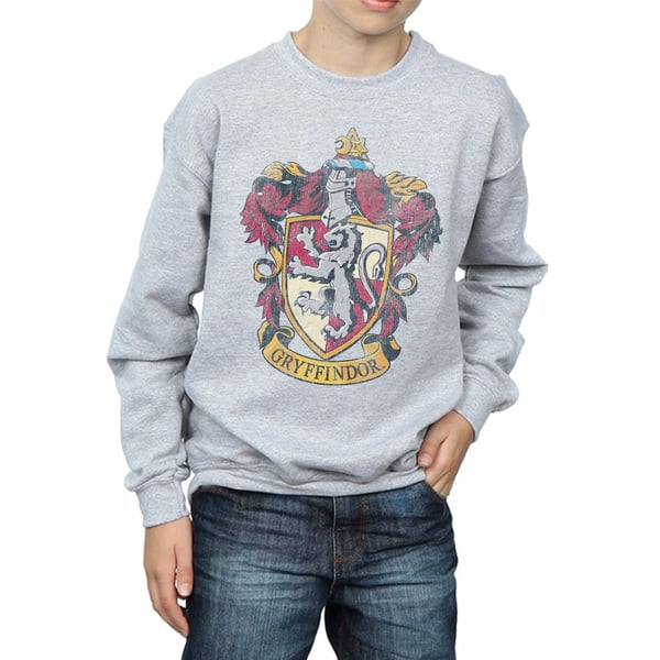 Harry Potter Boys Gryffindor Sweatshirt