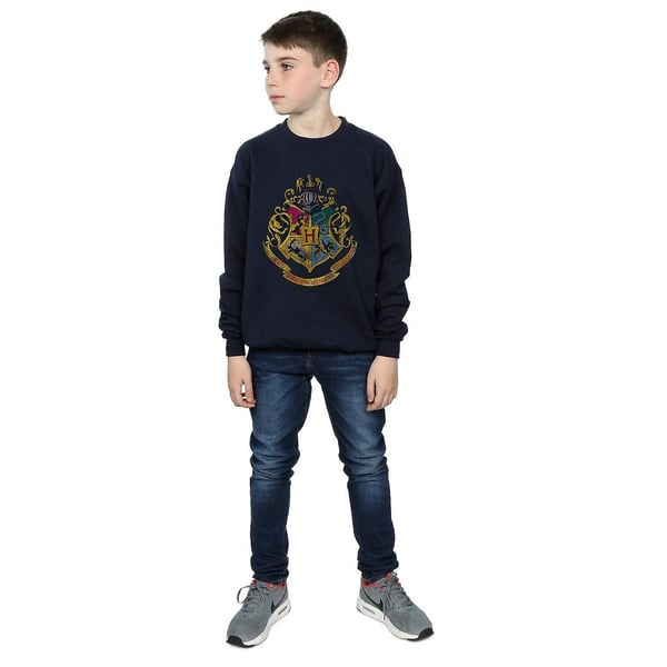 Harry Potter Boys Hogwarts Houses Cotton Sweatshirt
