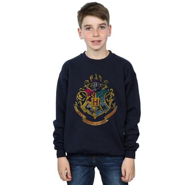 Harry Potter Boys Hogwarts Houses Cotton Sweatshirt