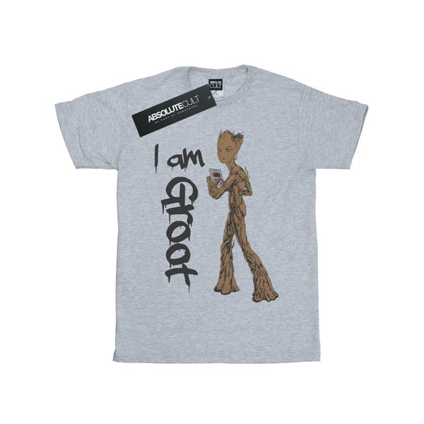 Marvel Dam/Dam Avengers Infinity War Graffiti Groot T-shirt i bomull med boyfriend-passform