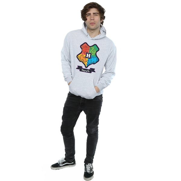 Harry Potter Mens Hogwarts Junior Crest Hoodie