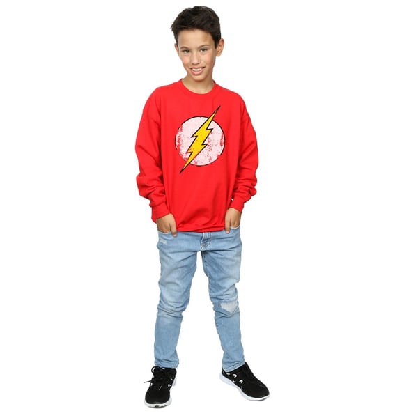 The Flash Boys Distressed Logo Cotton Sweatshirt