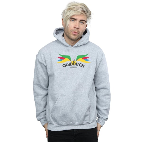 Harry Potter Mens Snitch Wings Pastels Hoodie