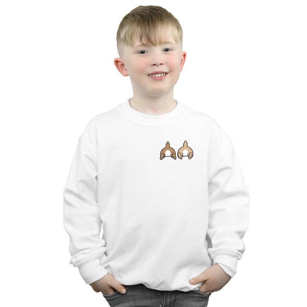 Disney Boys Chip N Dale Backside Breast Print Sweatshirt