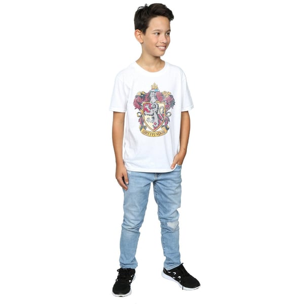 Harry Potter Boys Gryffindor Cotton T-Shirt