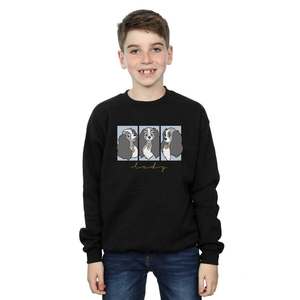 Disney Boys Lady And The Tramp Lady Frames Sweatshirt
