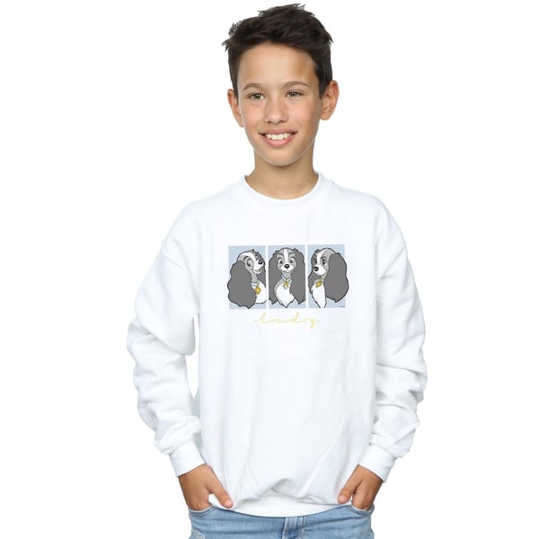 Disney Boys Lady And The Tramp Lady Frames Sweatshirt