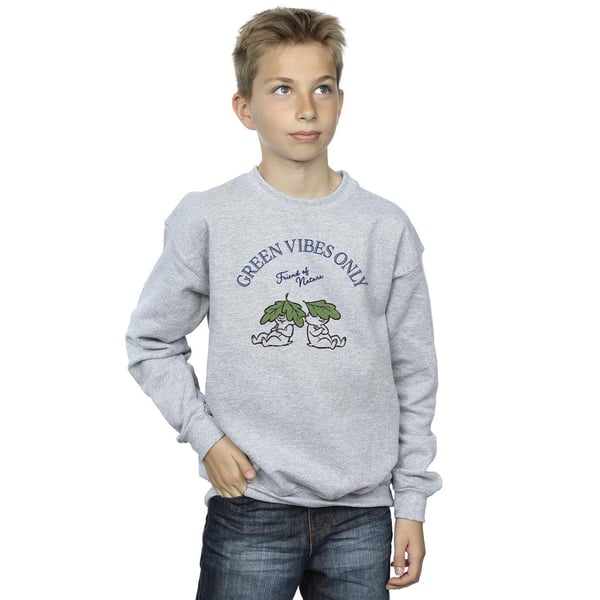 Disney Boys Chip ´n Dale Green Vibes Only Sweatshirt