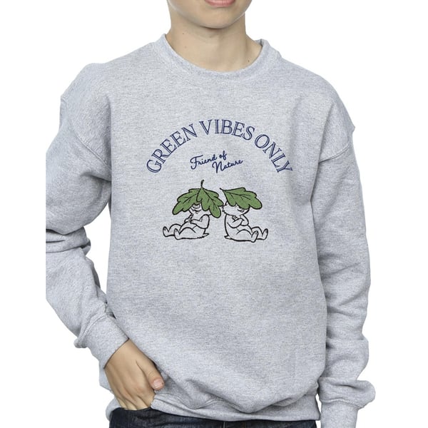 Disney Boys Chip ´n Dale Green Vibes Only Sweatshirt