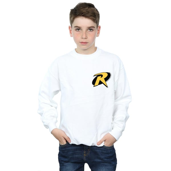 DC Comics Boys Batman Robin Logo Sweatshirt