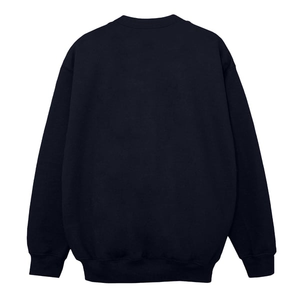DC Comics Boys The Flash Star Labs Sweatshirt