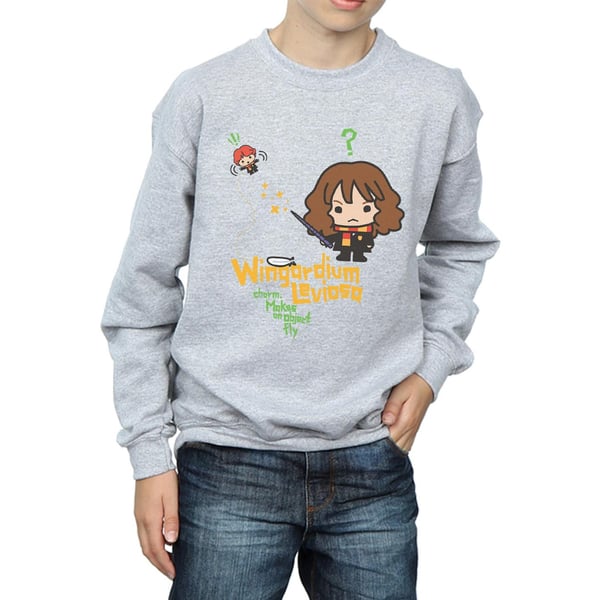 Harry Potter Boys Wingardium Leviosa Hermione Sweatshirt