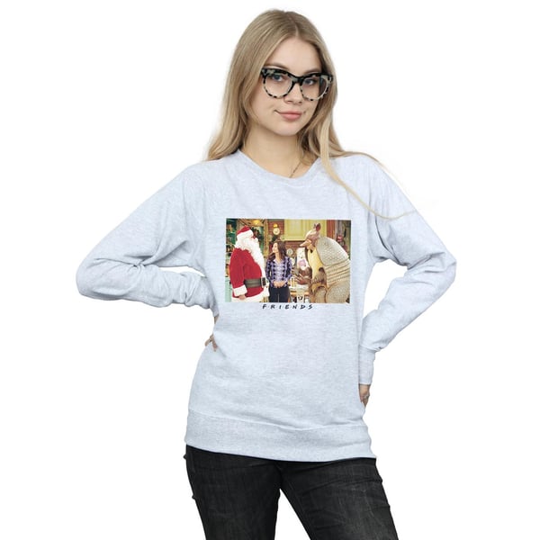 Friends Womens/Ladies Christmas Armadillo Sweatshirt