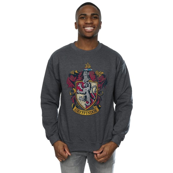 Harry Potter Miesten Gryffindor Collegepaita