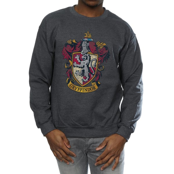 Harry Potter Miesten Gryffindor Collegepaita