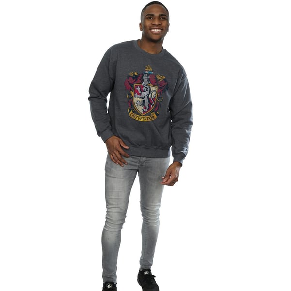 Harry Potter Miesten Gryffindor Collegepaita