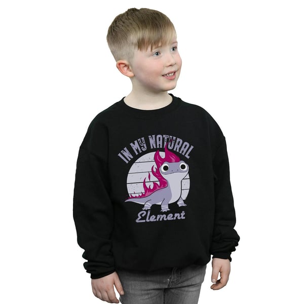 Disney Boys Frozen 2 Salamander Bruni Element Sweatshirt