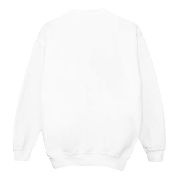 Disney Boys Frozen 2 Salamander Bruni Element Sweatshirt