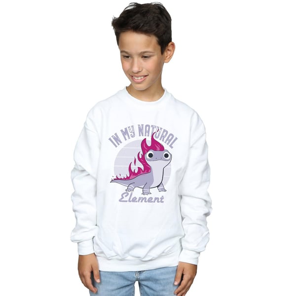 Disney Boys Frozen 2 Salamander Bruni Element Sweatshirt