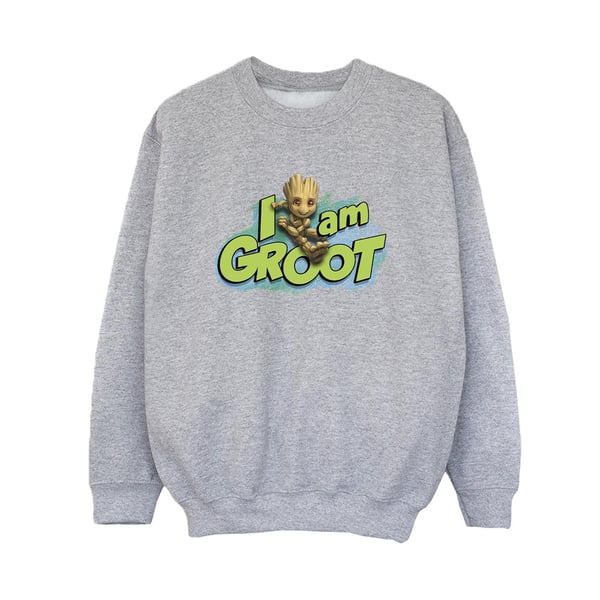 Marvel Boys Guardians Of The Galaxy I Am Groot Jumping Sweatshirt
