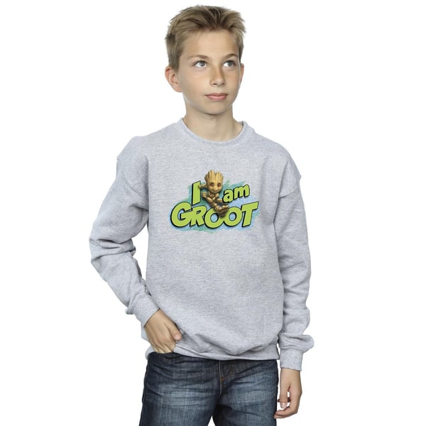 Marvel Boys Guardians Of The Galaxy I Am Groot Jumping Sweatshirt