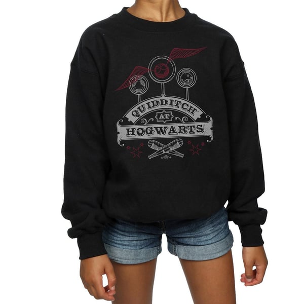 Harry Potter Girls Quidditch At Hogwarts Sweatshirt
