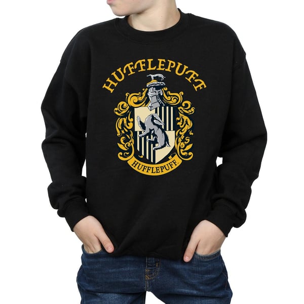 Harry Potter Boys Hufflepuff Sweatshirt