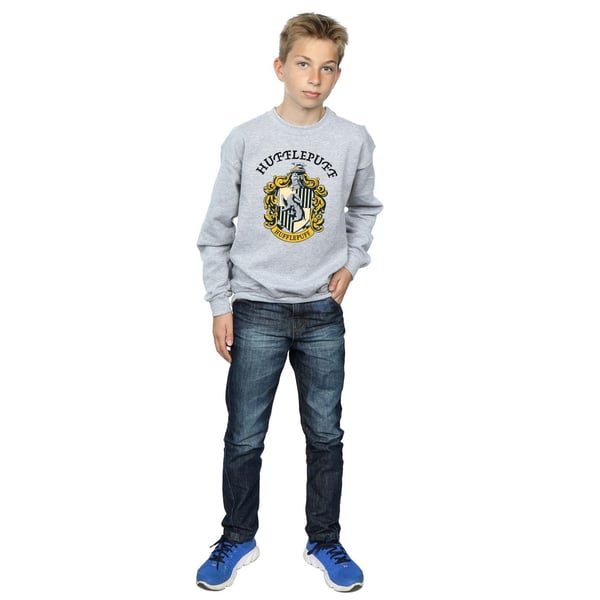 Harry Potter Boys Hufflepuff Sweatshirt