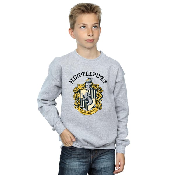 Harry Potter Boys Hufflepuff Sweatshirt