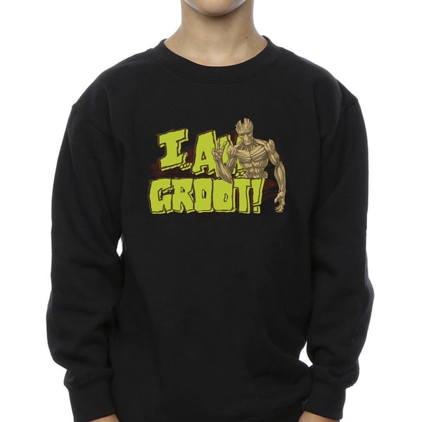 Guardians Of The Galaxy Boys I Am Groot Sweatshirt