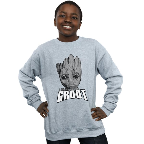Marvel Boys Guardians Of The Galaxy Groot Face Sweatshirt