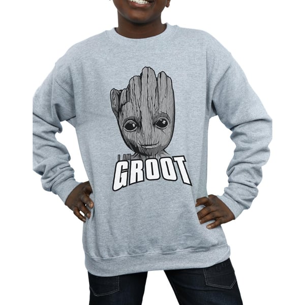 Marvel Boys Guardians Of The Galaxy Groot Face Sweatshirt