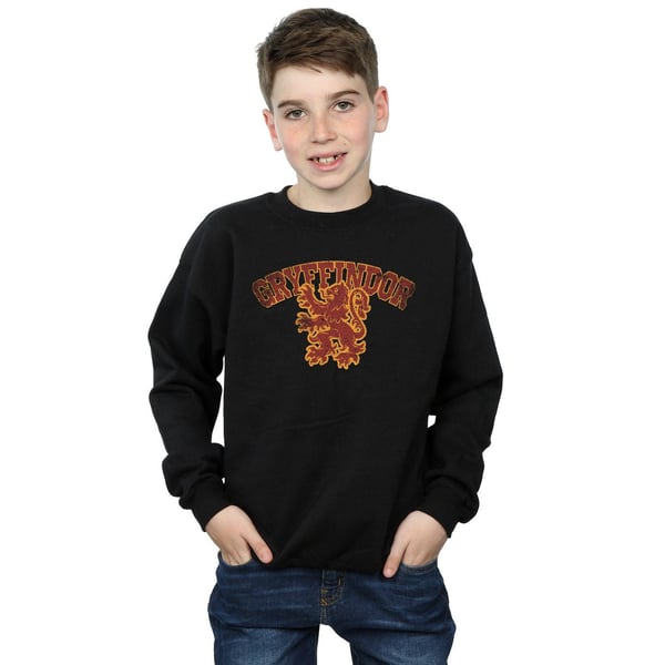 Harry Potter Boys Gryffindor Sport Emblem Sweatshirt
