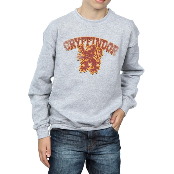 Harry Potter Boys Gryffindor Sport Emblem Sweatshirt
