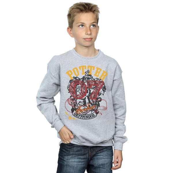 Harry Potter Boys Gryffindor Seeker Sweatshirt