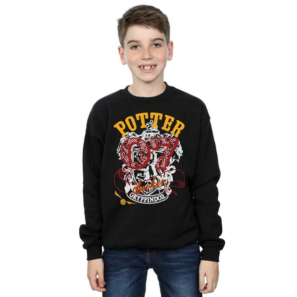 Harry Potter Boys Gryffindor Seeker Sweatshirt
