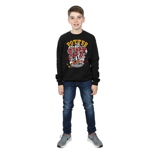 Harry Potter Boys Gryffindor Seeker Sweatshirt