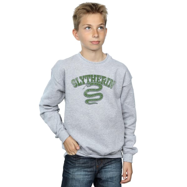 Harry Potter Boys Slytherin Sport Emblem Sweatshirt