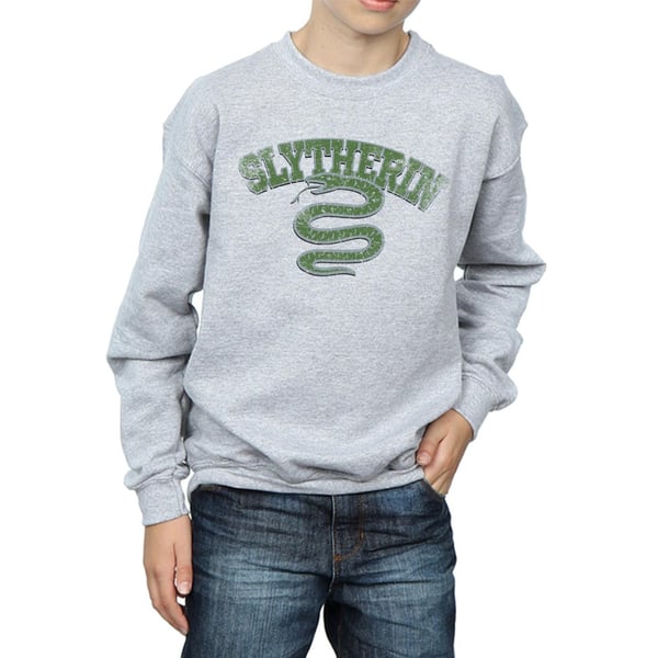 Harry Potter Boys Slytherin Sport Emblem Sweatshirt