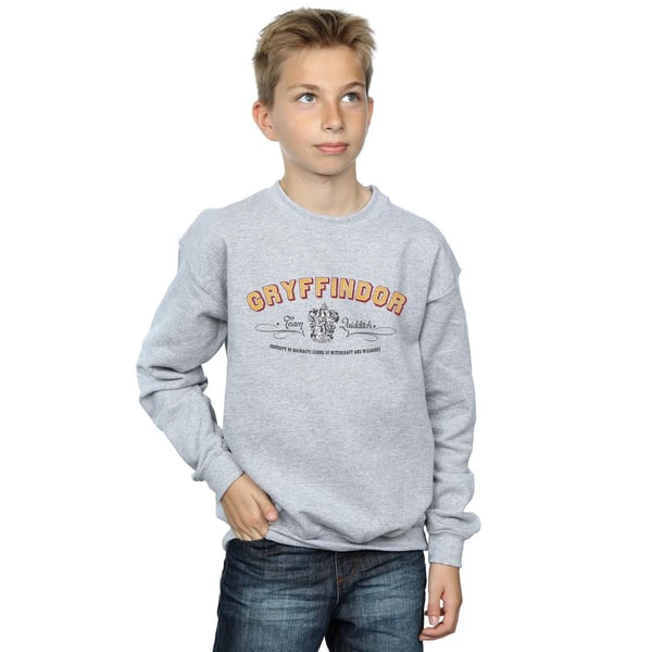 Harry Potter Boys Gryffindor Team Quidditch Sweatshirt