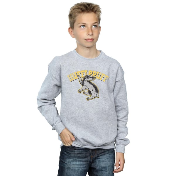 Harry Potter Boys Hufflepuff Sport Emblem Sweatshirt