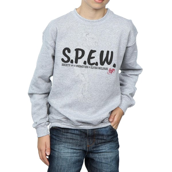 Harry Potter Poikien Dobby SPEW Collegepaita